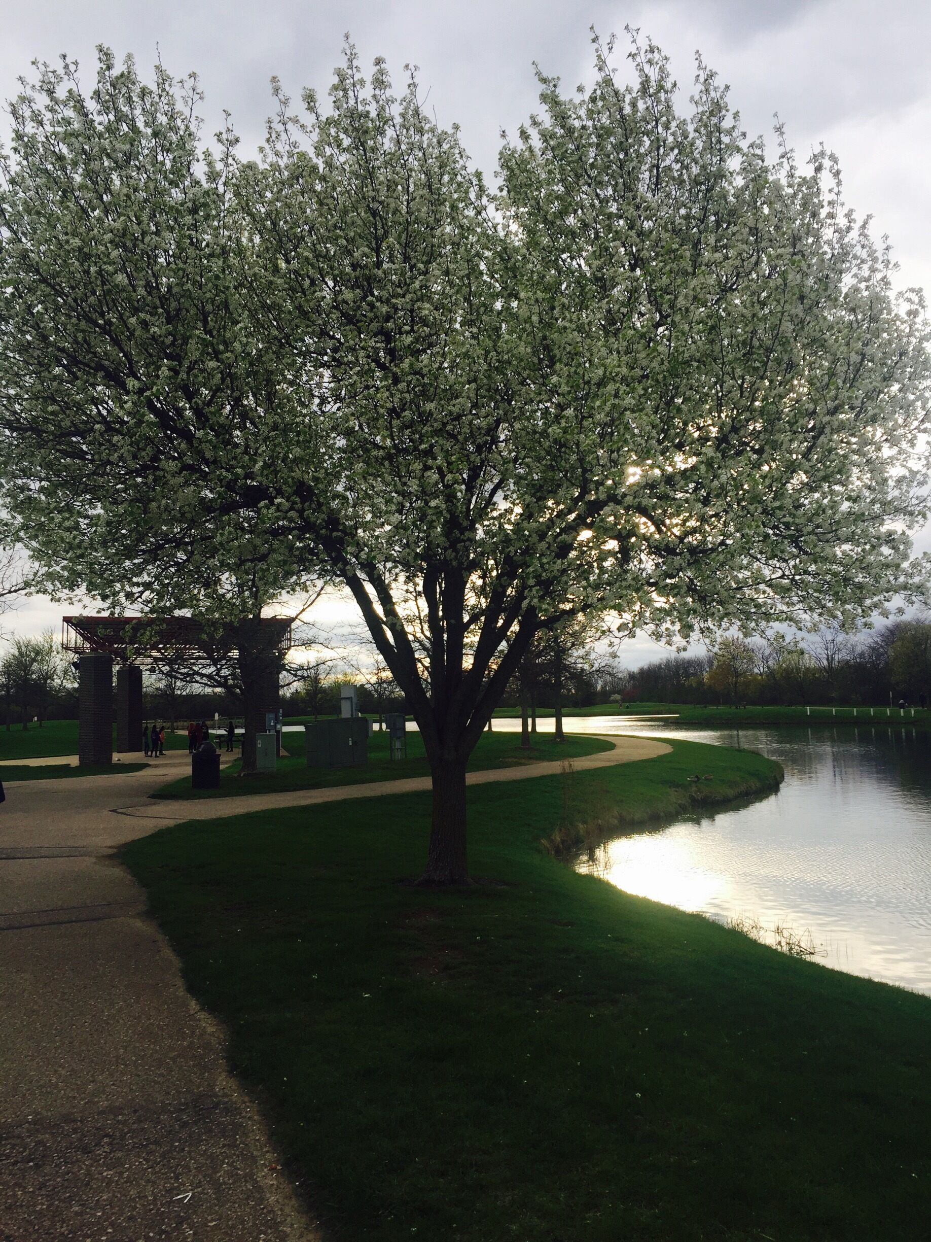 Canton community park at canton
