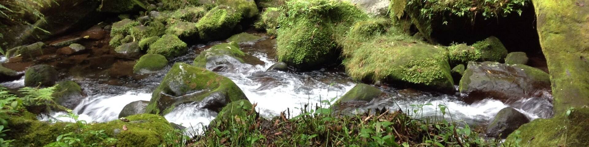 Immerse yourself with nature.