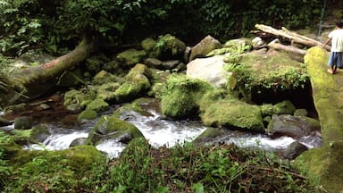 Immerse yourself with nature.