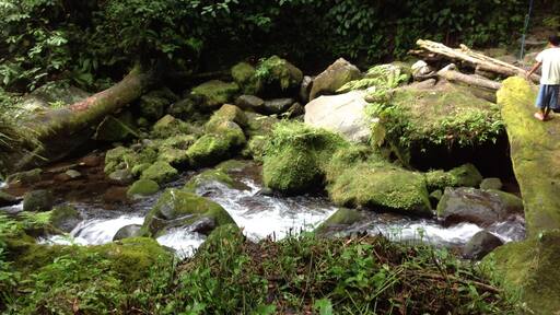 Immerse yourself with nature.