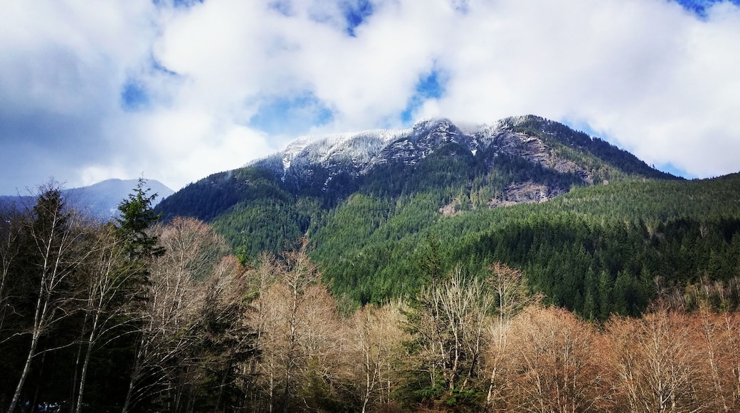 From the dock looking up at the snow line.
The park sits midway up the mountain but under the snow line. The park itself is incredibly beautiful with a beach trail that takes you along the edge of the lakes within the park. There are no showers here so something to keep in mind. Only out houses and water pumps. The drive from the base to the park is about 15 minutes and there are lots of pot holes when I went so don't drive too fast or it will take your car out. The closest town is Harrison Hot Springs where you can find a beautiful beach and play area for the kids as well as the Hot Springs - but it does get crazy busy there.