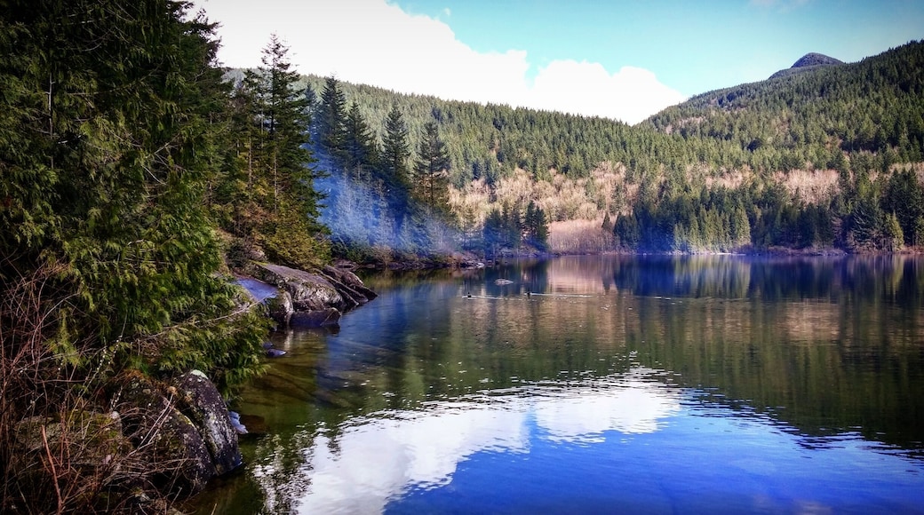 Along the beach trail. Clouds starting to form over the lakes.
The park sits midway up the mountain but under the snow line. The park itself is incredibly beautiful with a beach trail that takes you along the edge of the lakes within the park. There are no showers here so something to keep in mind. Only out houses and water pumps. The drive from the base to the park is about 15 minutes and there are lots of pot holes when I went so don't drive too fast or it will take your car out. The closest town is Harrison Hot Springs where you can find a beautiful beach and play area for the kids as well as the Hot Springs - but it does get crazy busy there. #blue