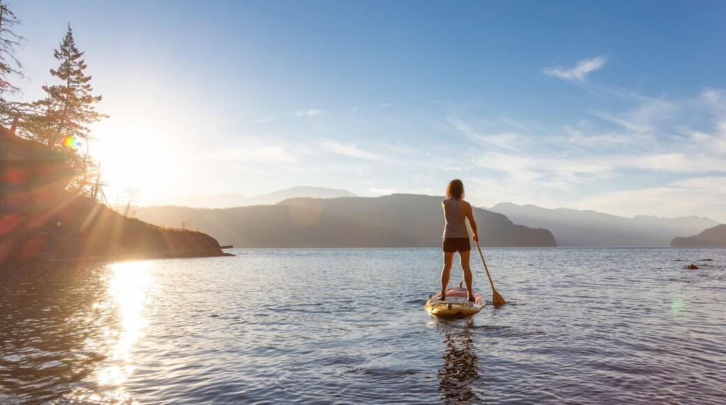 Adventurous Woman Paddling on a Paddle Board in a peaceful lake.