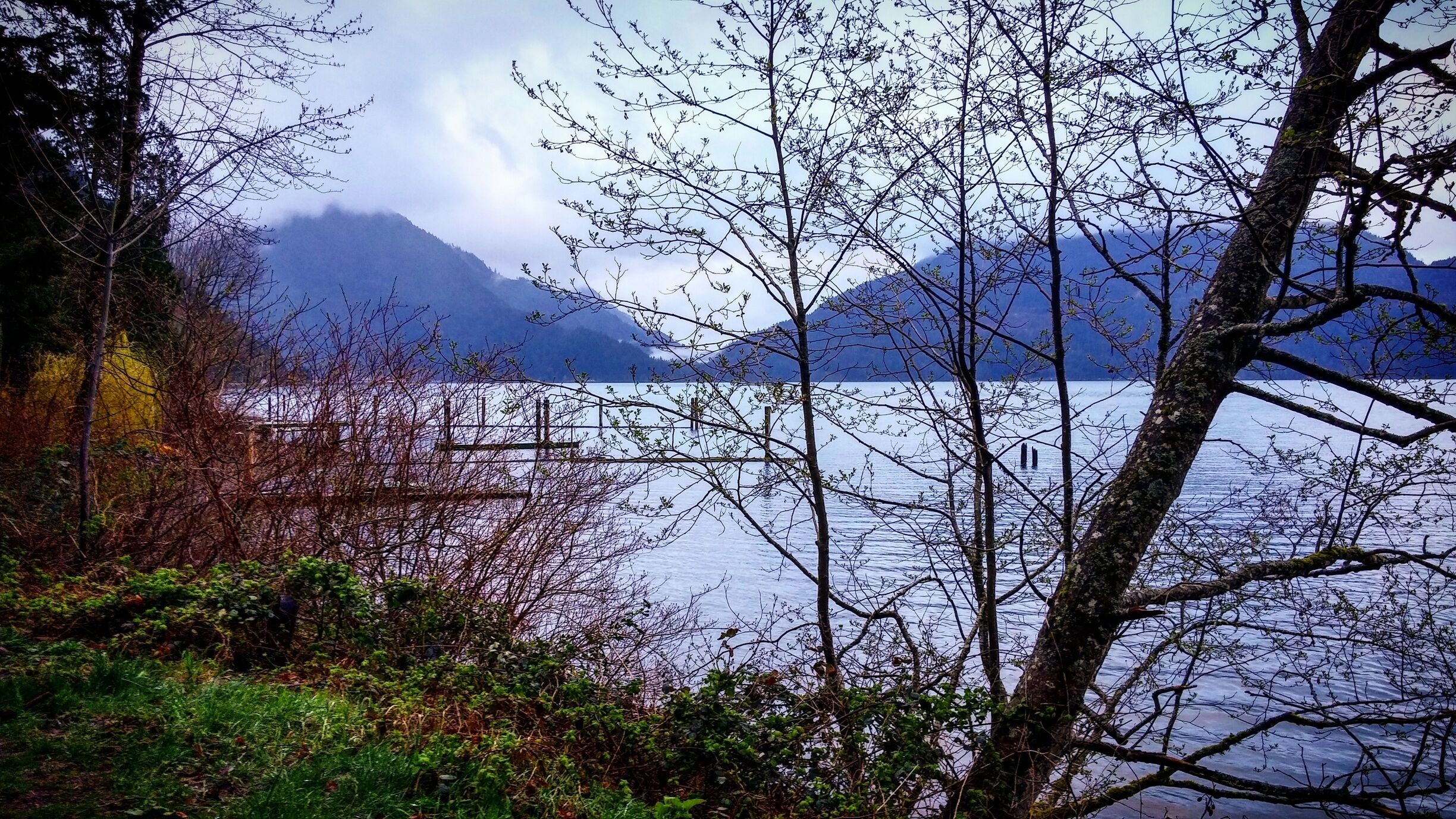 View of the Lake from my campsite.