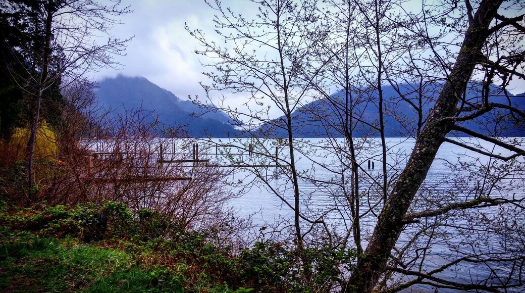 View of the Lake from my campsite.