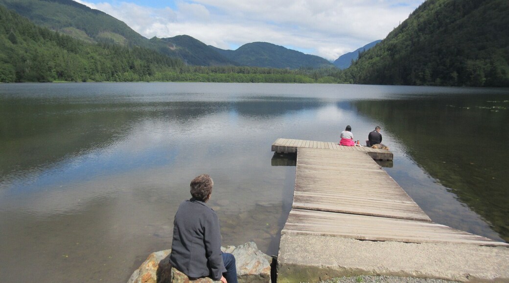 Cool in the backwoods