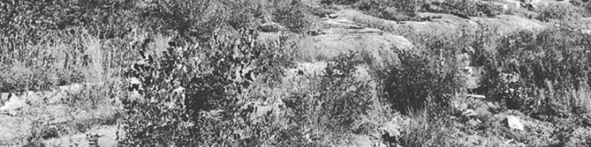 Former religious theme park overtaken by nature. There was a death there recently. Owned by a convent. Lots of ground to cover