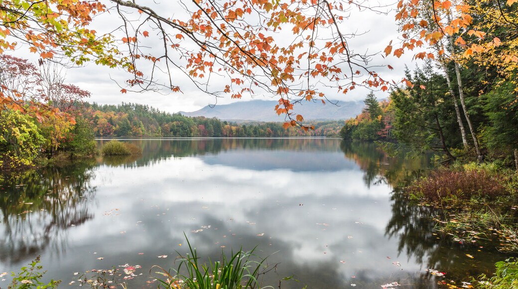 Calm Morning on Waterbury Reservoir