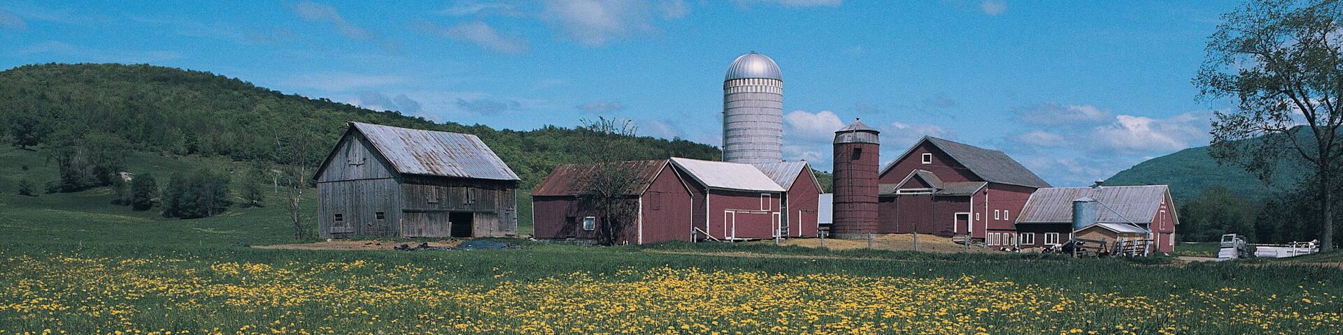 Farm scene near Waterbury, Vermont, USA