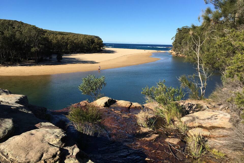 Eine Küstenlandschaft mit Sandstrand, ruhigem Wasser und dichtem Wald.