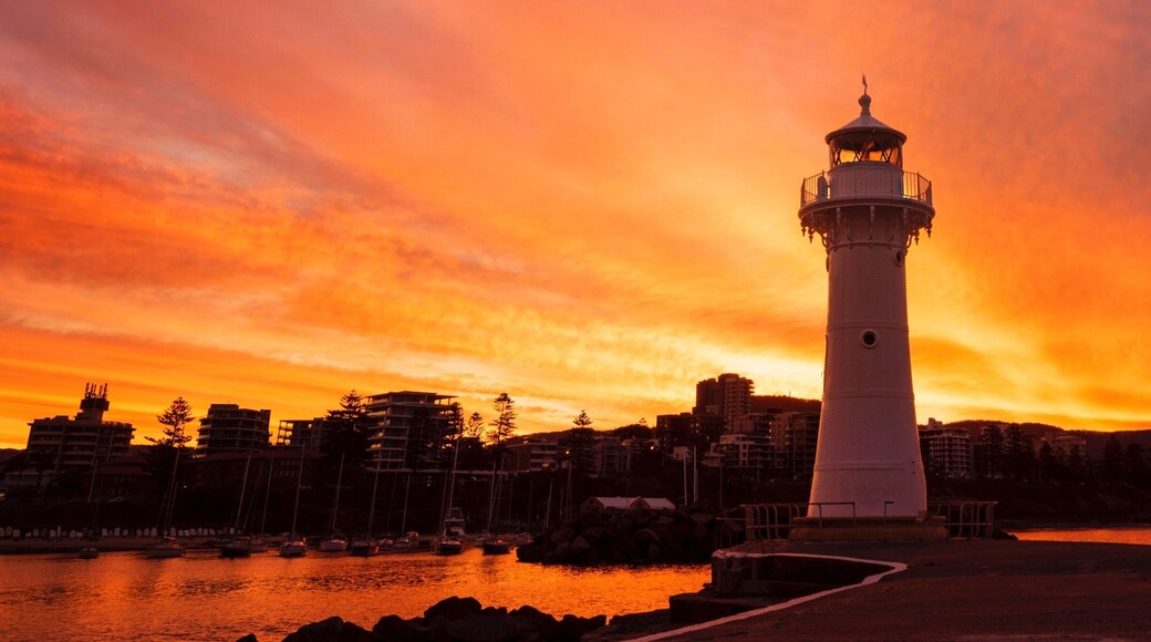 I've just spent five days on the Grand Pacific Drive starting in Wollongong. I would highly recommend this for a road trip as it passes through the cutest little towns; Kiama, Shoalhaven, Shellharbour and Southern Highlands. Make sure you grab a feed at the Hungry Monkey in Kiama, visit Bombo Quarry, waterfalls in the Highlands and Greenfields Beach is adorable! Oh, and Pilgrim cafe and Diggies cafe. So much to see, do and eat!