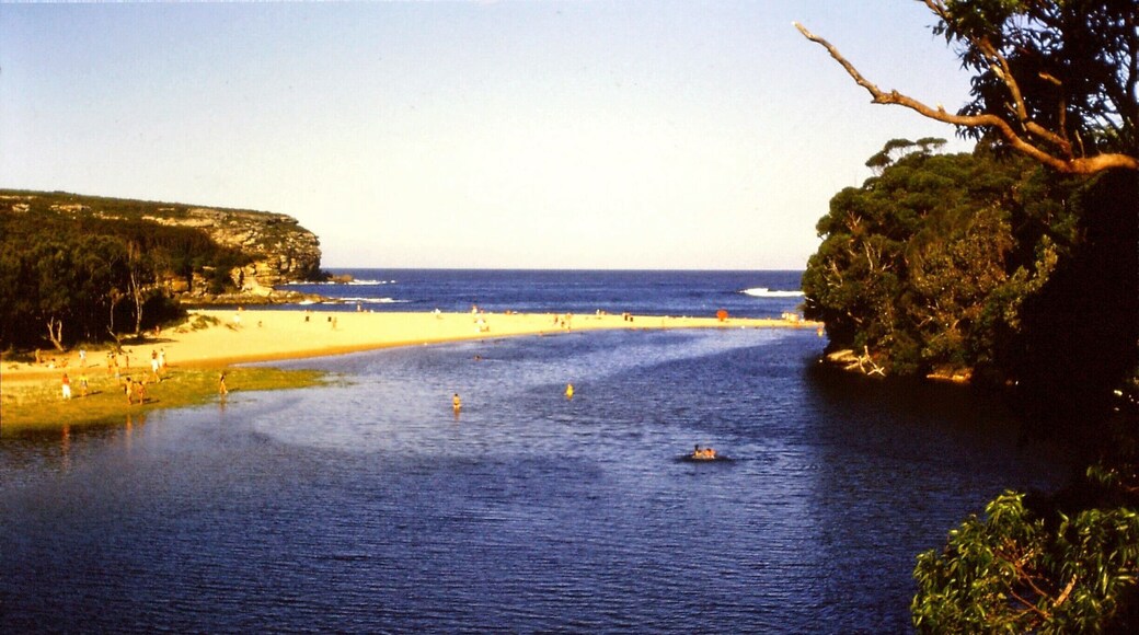 (south of Cronulla, Sydney, Australia)
23/3/1986