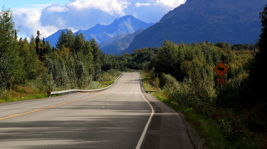 Beautiful drive thru the Alaskan mountain ranges