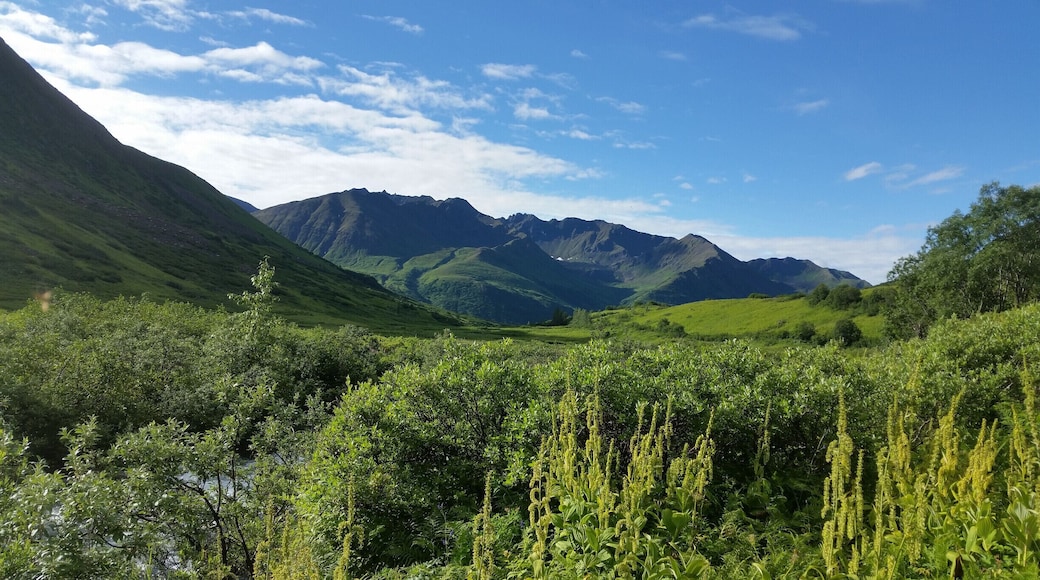 Reed Lakes Trail in Hatcher Pass area, nice hike, beautiful views