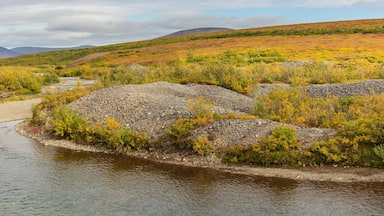 Tundra landscape in Western Alaska with rolling hills piles of mine tailings left behind by a gold dredge and river in autumn colors in the vicinity of Nome, Alaska