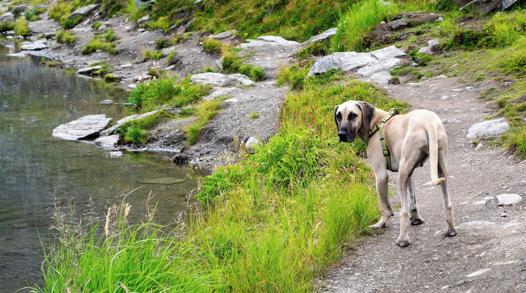 Adventures are always more fun when you have a buddy with you!
#Adventure
