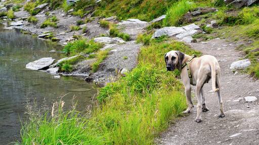Adventures are always more fun when you have a buddy with you!
#Adventure