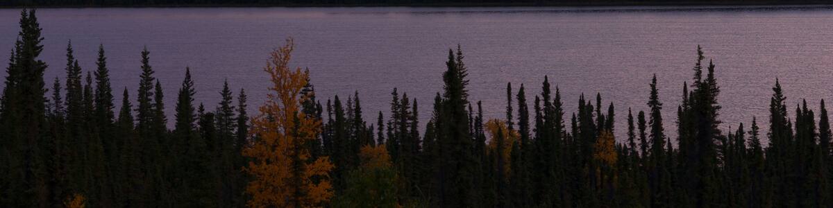 Willow Lake Southeast Alaska Wrangell St. Elias National Park