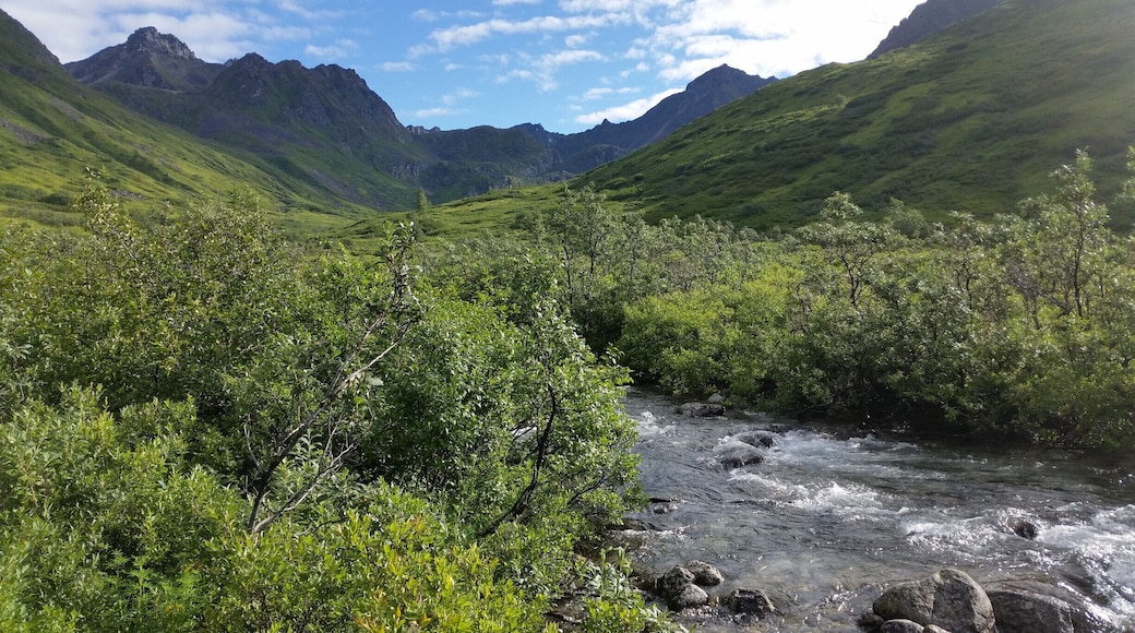 Reed Lakes Trail in Hatcher Pass area, lively stream running along side it, great sounds the whole way up