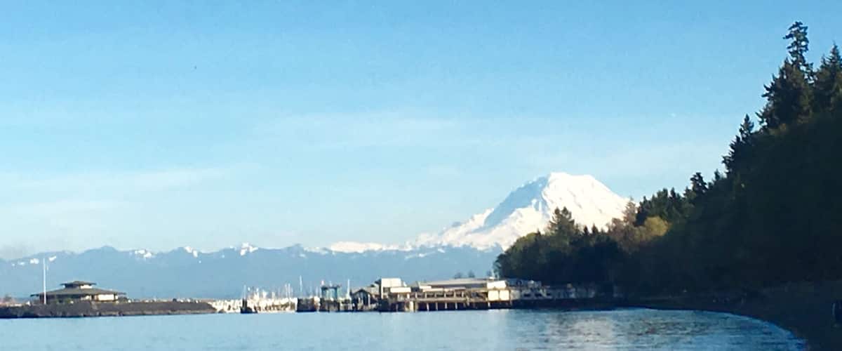 View of Mt Rainier from the beach