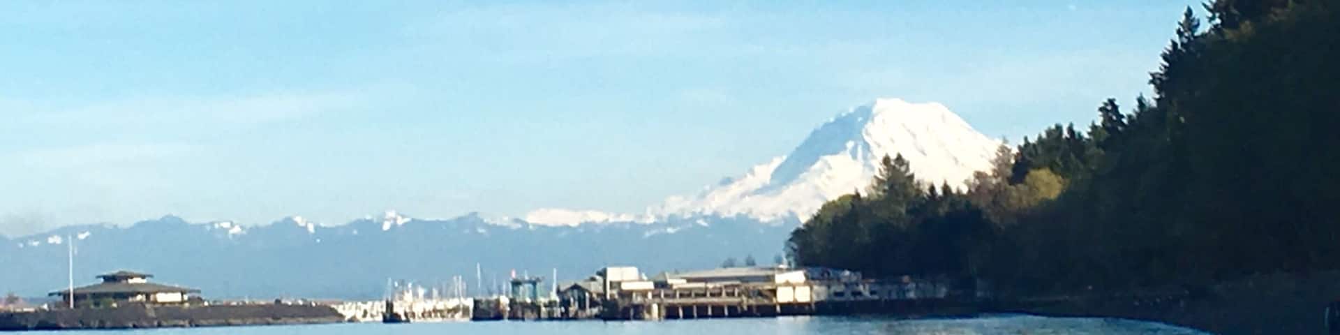 View of Mt Rainier from the beach