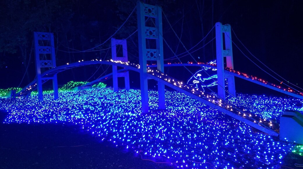 Zoolights (Narrow Bridge) in Tacoma, WA
All around the world people celebrate with lights, make sure to pack one outfit in your carry on so in case your luggage doesn't make it to the destination you can still go out and see the lights
#LifeAtExpedia