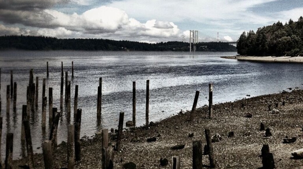 Nice walk on the beach