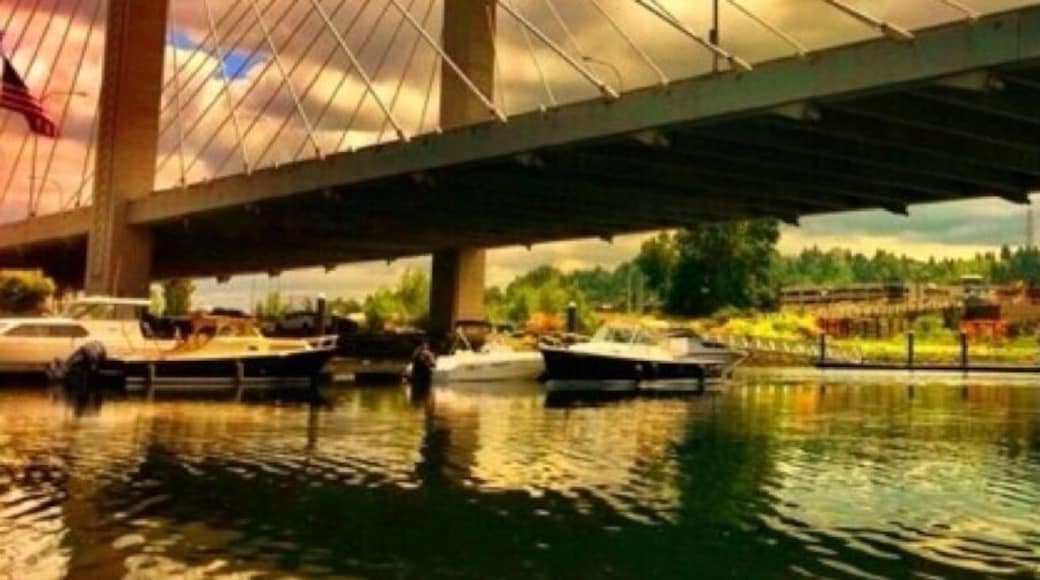 Awesome bridge in Tacoma