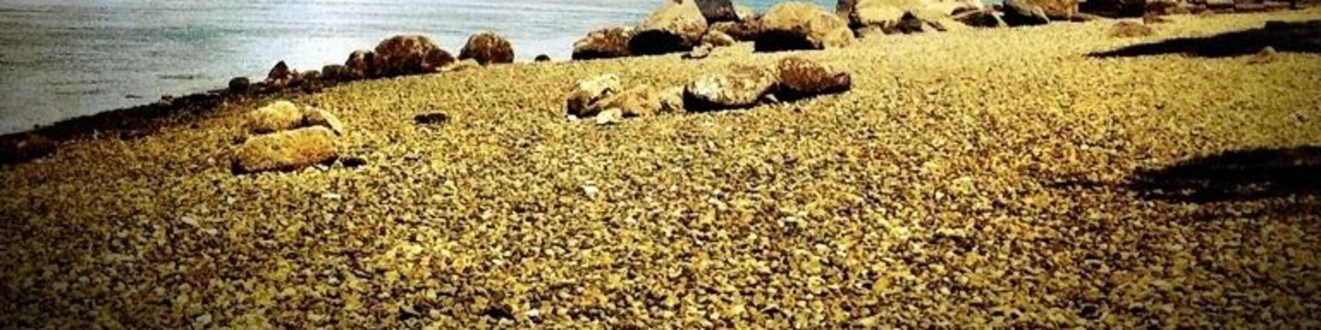 View of Narrows Bridge from the beach