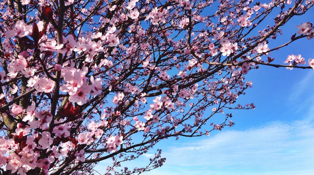 Spring is in the air.