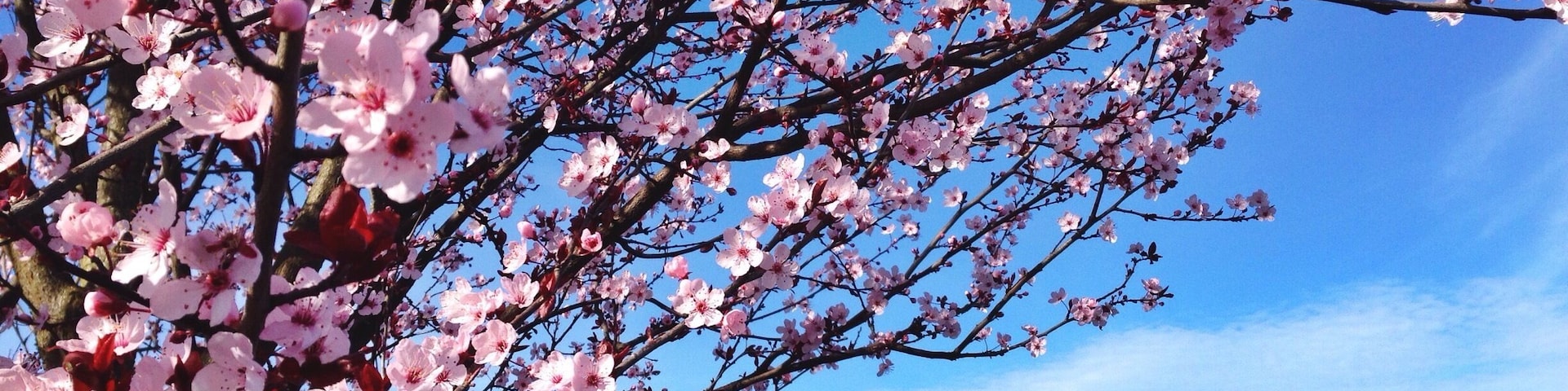 Spring is in the air.