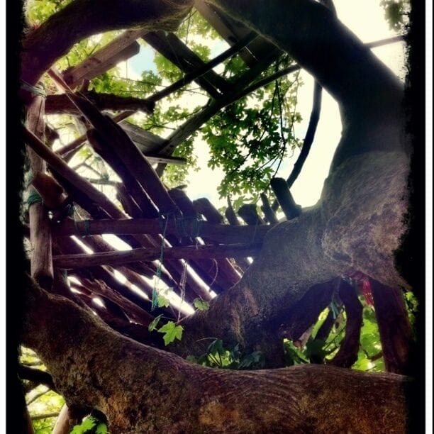 Cool tree fort right on the beach, great views