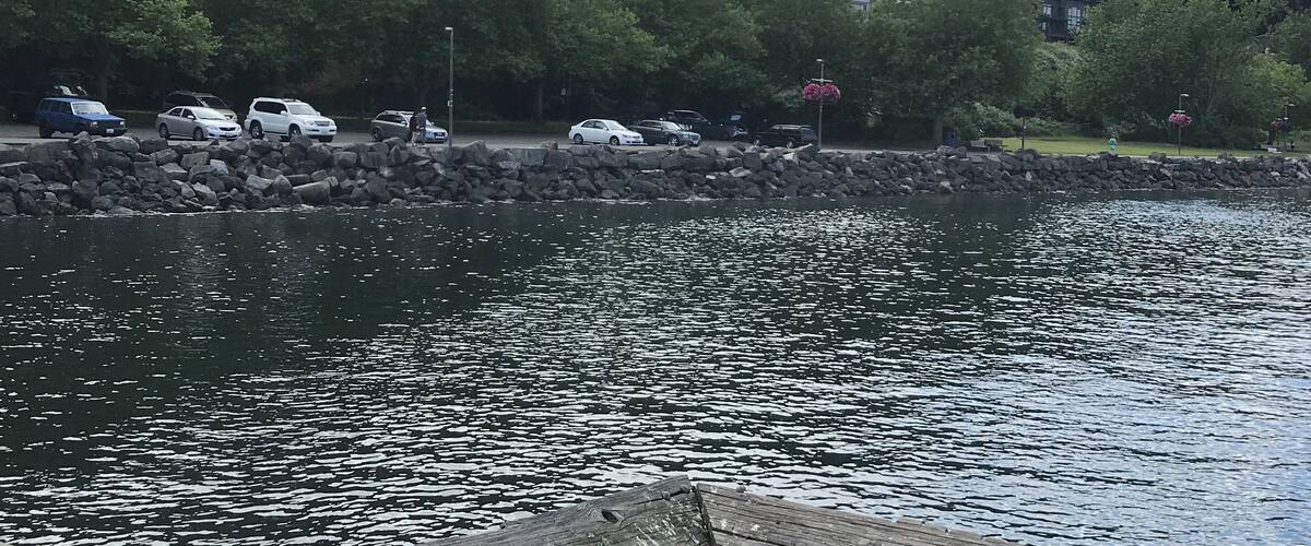 A lazy balmy afternoon looking at one of Tacoma's marvelous parks. Next time you visit the region come take a stroll here.