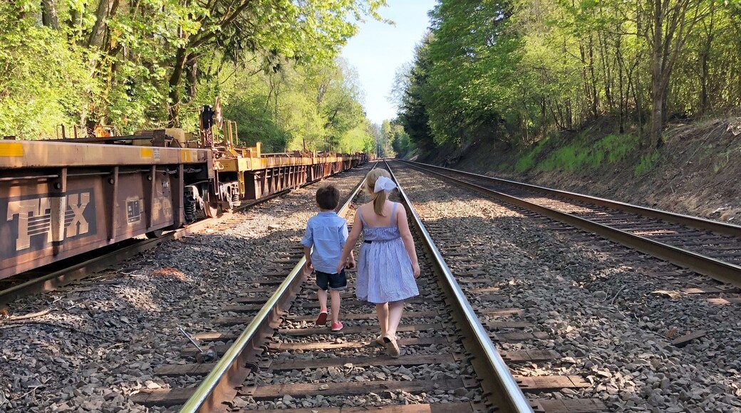 Train tracks are viewable from a bridge which connects to an abandoned park and a functional park. #traintracks #trains #children #amtrak #tacoma #bridge #washingtonstate #wa #pnw