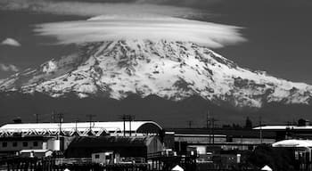 My Rainier with Lenticular cloud from Tacoma waterfront