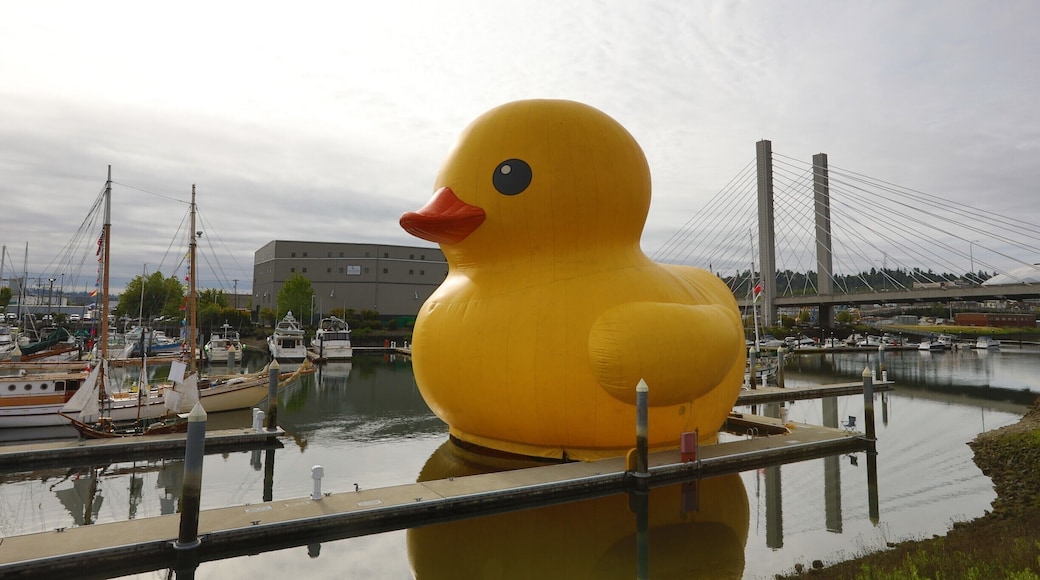 Giant rubber duckie for boat days
