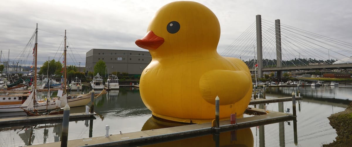 Giant rubber duckie for boat days