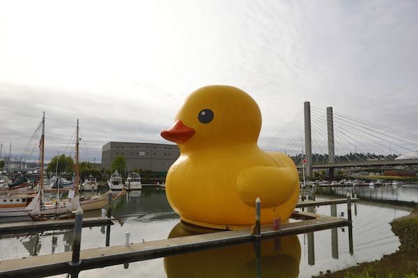 Giant rubber duckie for boat days