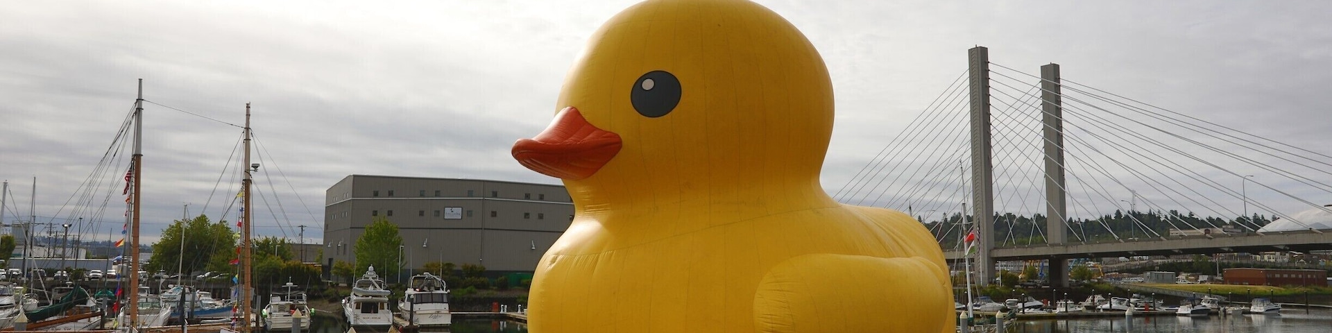 Giant rubber duckie for boat days