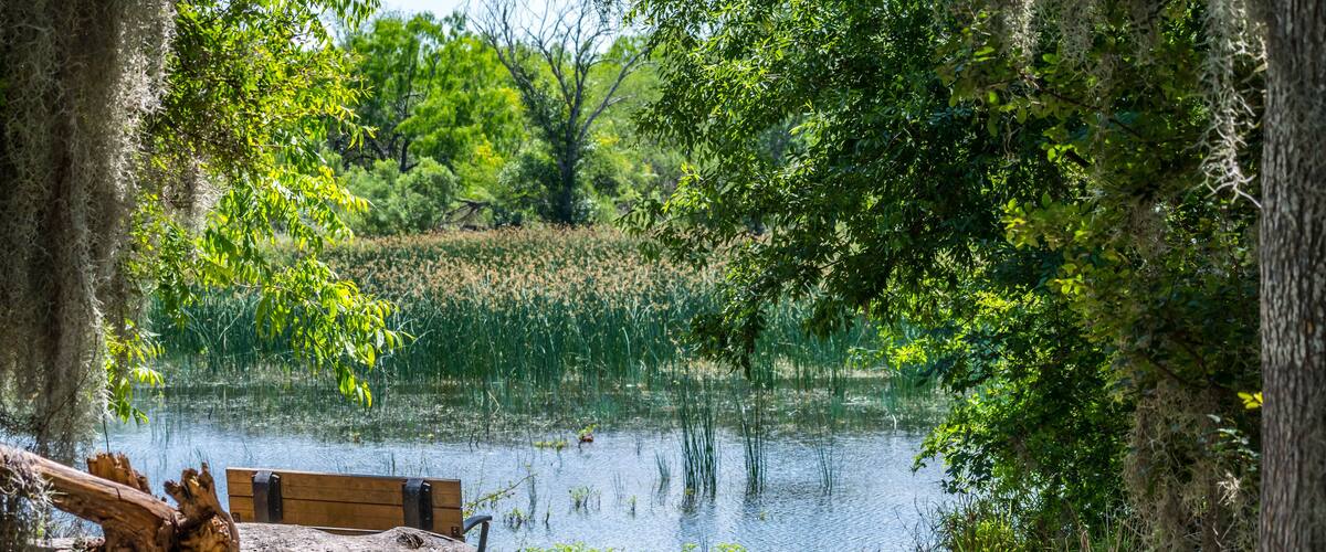 The Willow Lake in Santa Ana NWR, Texas