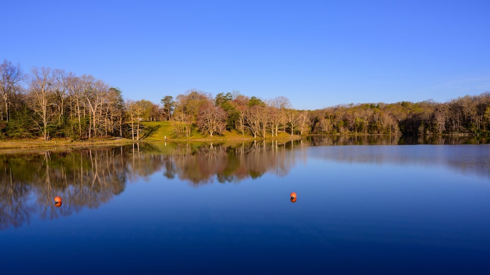 A calm lake with reflections of trees and two orange buoys.