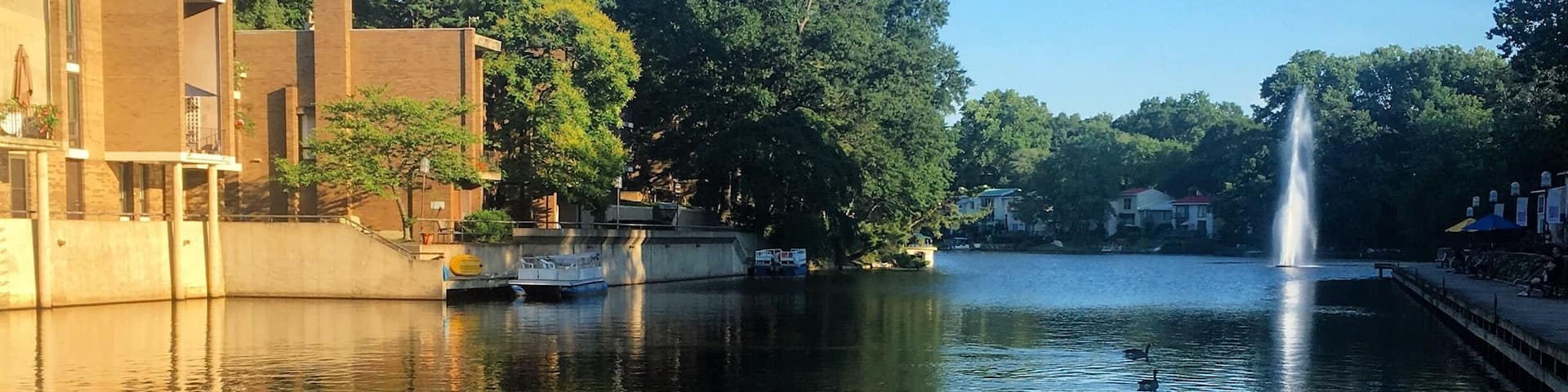 Amazing little neighborhood