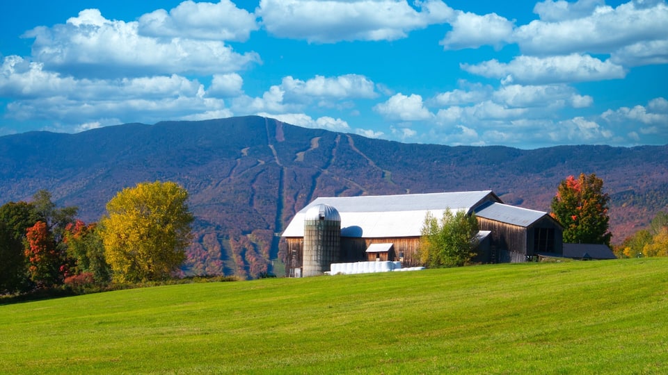 A barn with a silo, surrounded by a green field and trees with autumn foliage, with mountains in the background.