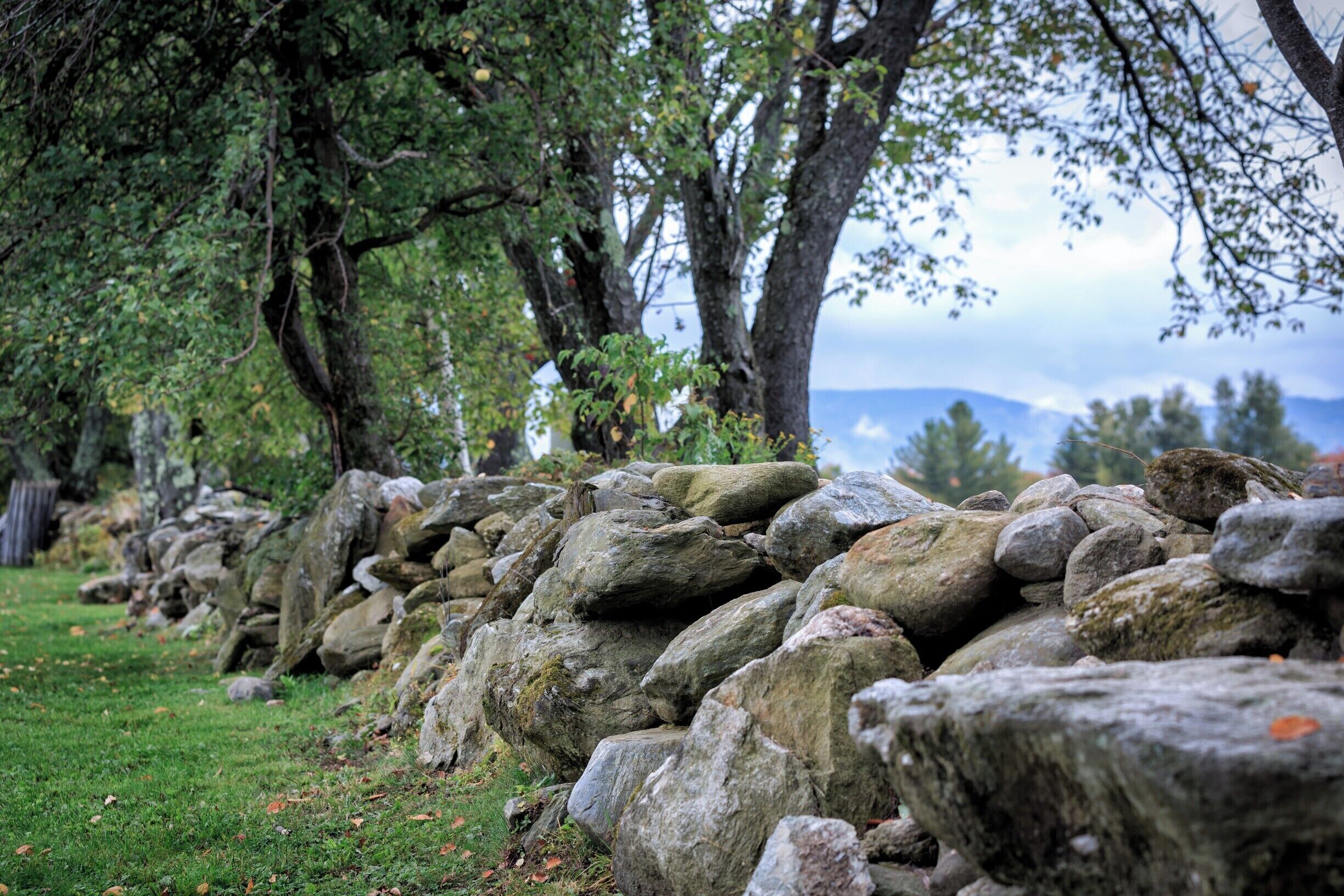 During a morning walk around the Von Trapp flower garden, we came upon this lovely rock wall with a view of the Green Mountains in the distance.