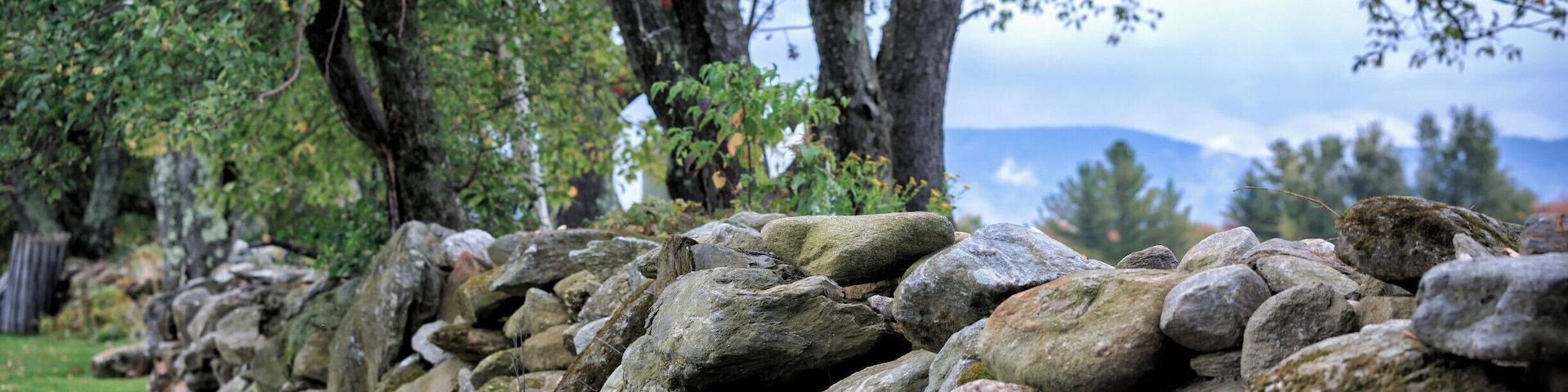 During a morning walk around the Von Trapp flower garden, we came upon this lovely rock wall with a view of the Green Mountains in the distance.