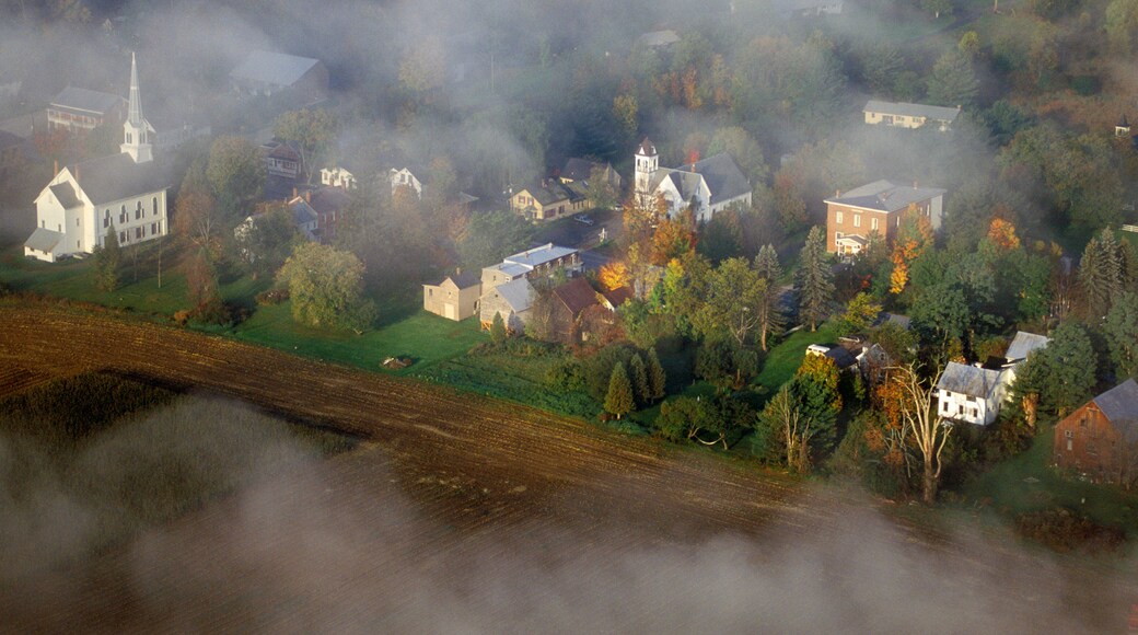 ウェイツフィールド