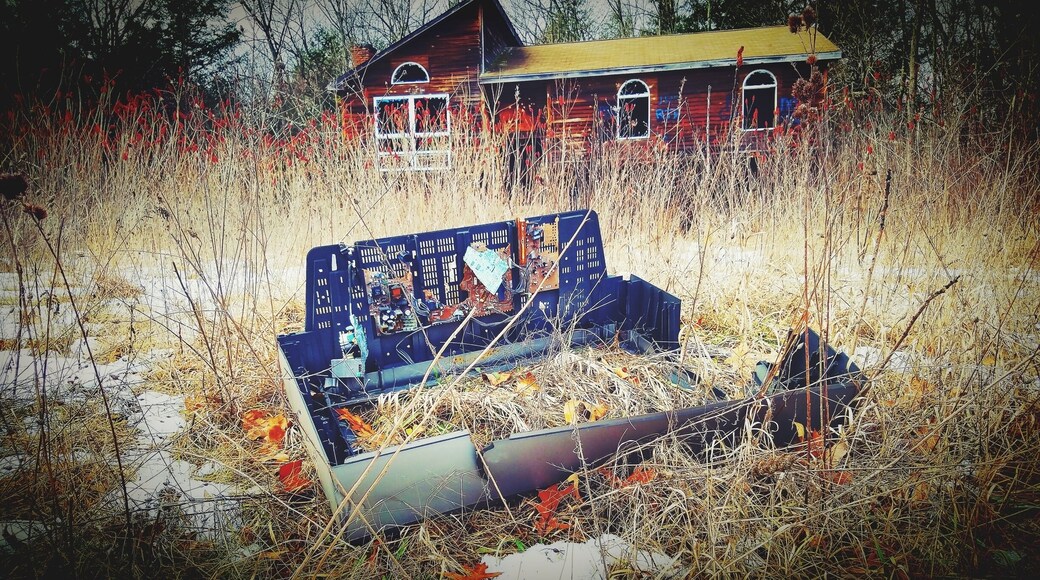 Abandoned neighborhood.