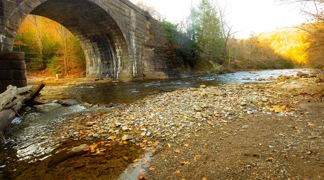 Stone arch of a railroad bridge over the Westfield River.