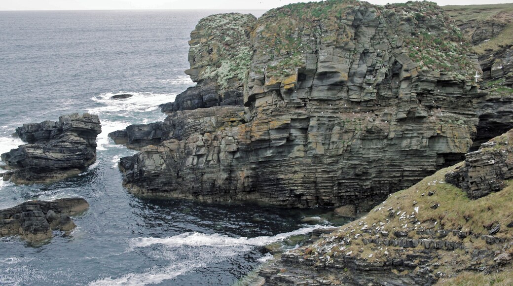Cliffs from Point o' Burrian