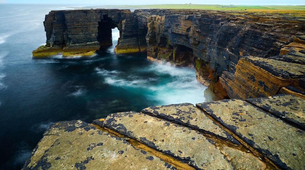 เวสต์เรย์